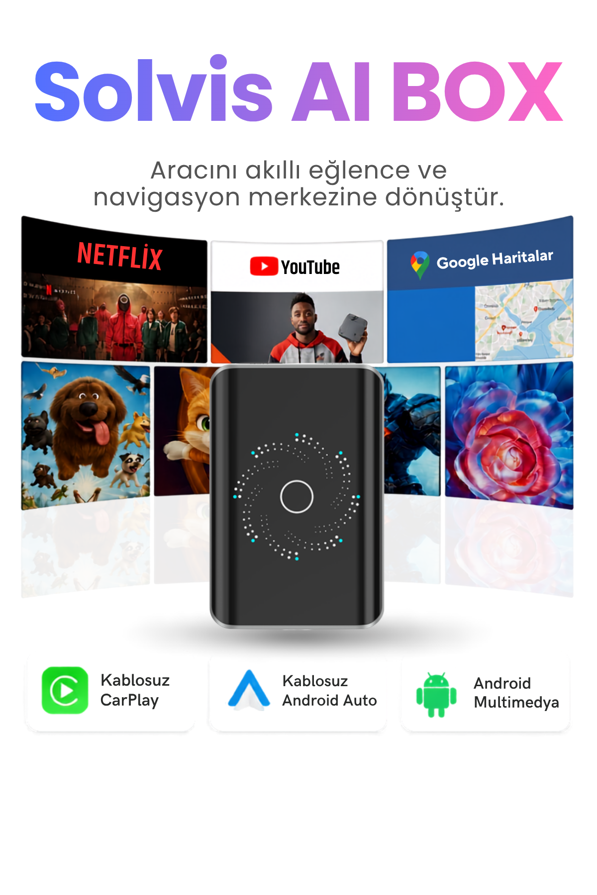 Solvis Ai Box